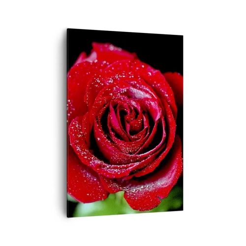 Bild auf Leinwand - Leinwandbild - Eine rote Rose mit Tautropfen auf schwarzem Hintergrund. - 70x100cm - Das ist Liebe - Moderne Wanddekoration für Wohnzimmer und Schlafzimmer ARTTOR