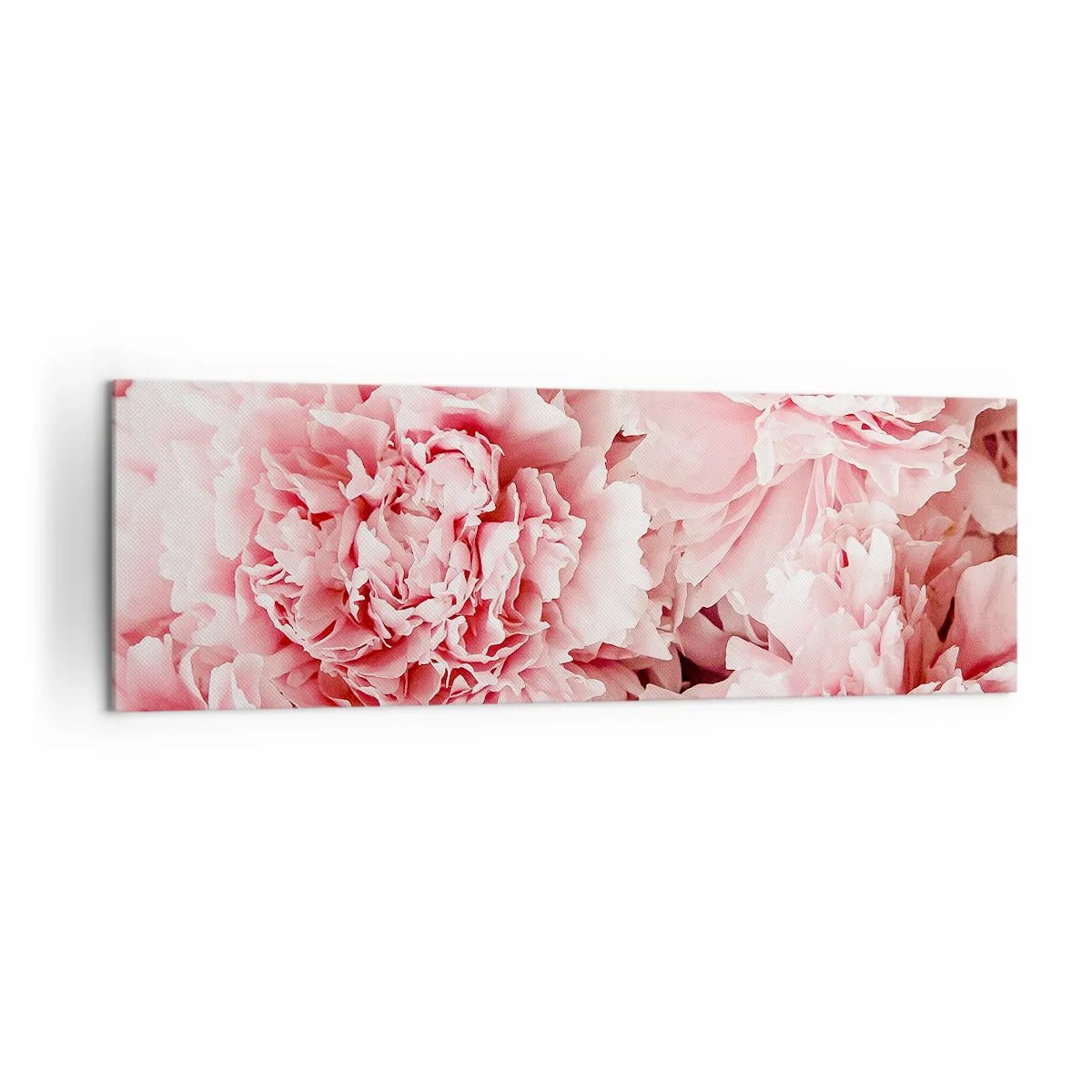 Bild auf Leinwand - Leinwandbild - Zarte rosa Pfingstrosen in zartem Ambiente - 160x50cm - Rosa Traum - Moderne Wanddekoration für Wohnzimmer und Schlafzimmer ARTTOR
