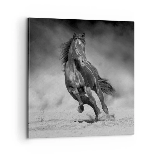 Bild auf Leinwand - Leinwandbild - Würdig des Emirs selbst - 60x60 cm