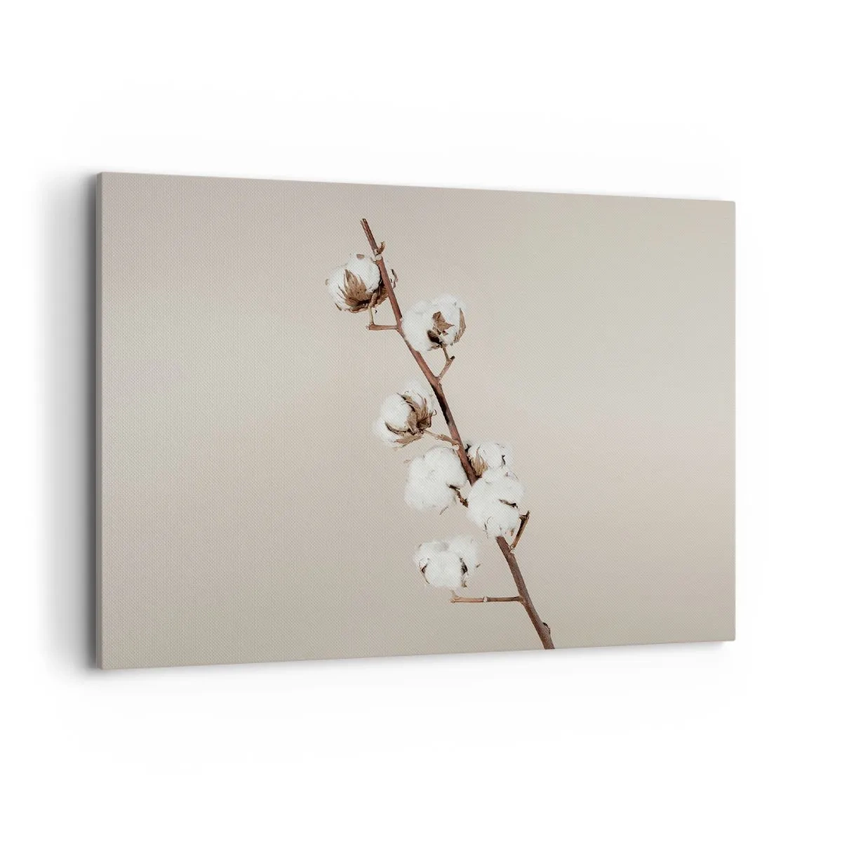 Bild auf Leinwand - Leinwandbild - Ein Zweig Baumwolle auf beigem Hintergrund - 100x70cm - An der Quelle der Weichheit - Moderne Wanddekoration für Wohnzimmer und Schlafzimmer ARTTOR