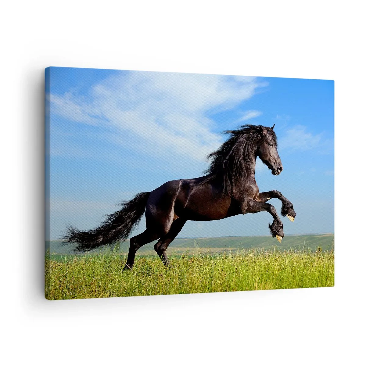 Bild auf Leinwand - Leinwandbild - Ein schwarzes Pferd läuft vor blauem Himmel und grüner Wiese - 70x50cm - Ein spannendes Manifest der Freiheit - Moderne Wanddekoration für Wohnzimmer und Schlafzimmer ARTTOR