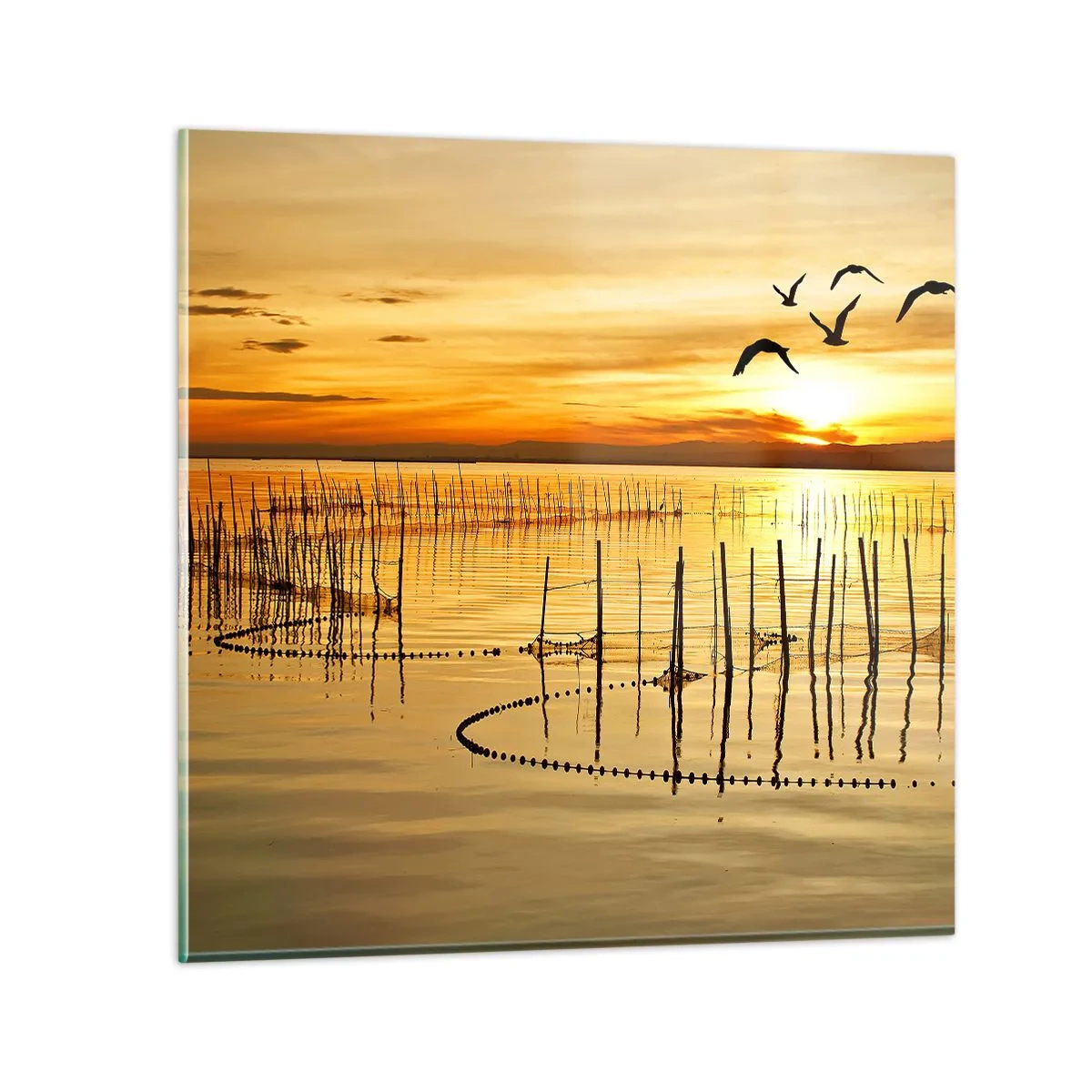 Glasbild - Bild auf glas - In der Fischerei - 70x70 cm
