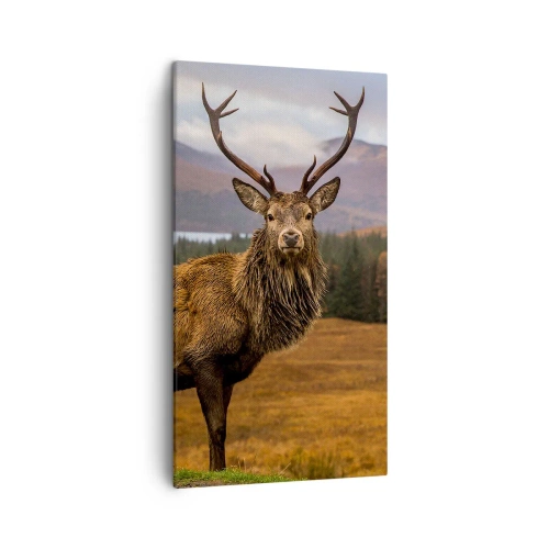 Bild auf Leinwand - Leinwandbild - Die Majestät der Natur - 45x80 cm