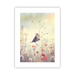 Poster - Vogelporträt mit einer Wiese im Hintergrund - 30x40 cm