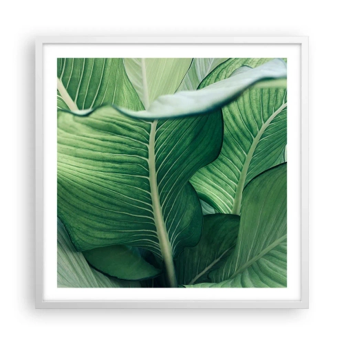 Poster in einem weißen Rahmen - Intensiv grünes Leben - 60x60 cm