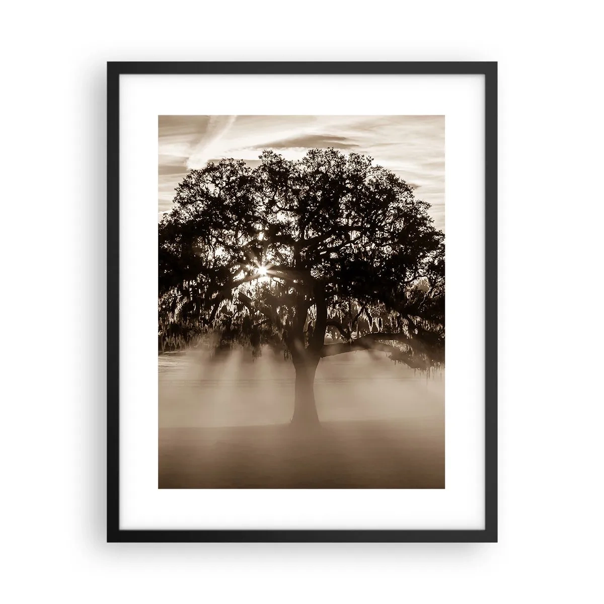 Poster in einem schwarzem Rahmen - Baum der guten Nachrichten  - 40x50 cm
