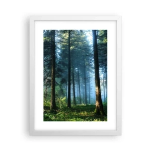 Poster in einem weißen Rahmen - Strahlend am Morgen - 30x40 cm