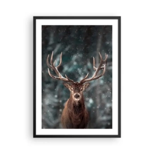 Poster in einem schwarzem Rahmen - Porträt eines Hirsches mit beeindruckendem Geweih vor der Kulisse eines Winterwaldes - 50x70cm - Gekrönter König des Waldes - Moderne Wanddekoration für Wohnzimmer und Schlafzimmer ARTTOR