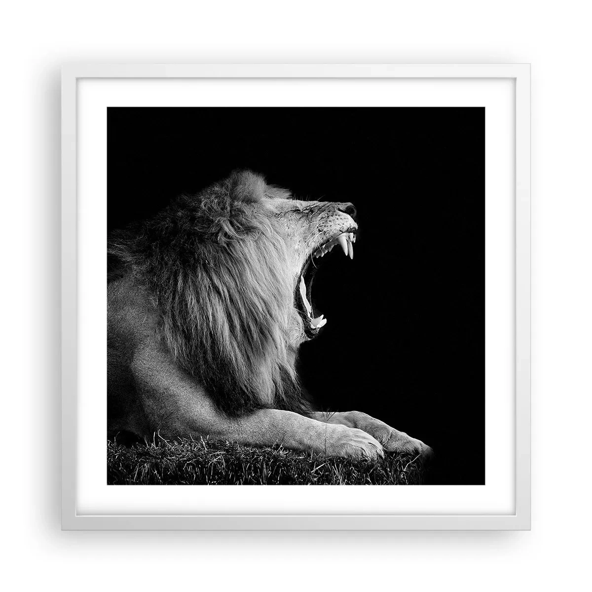 Poster in einem weißen Rahmen - Ohne Zweifel - 50x50 cm