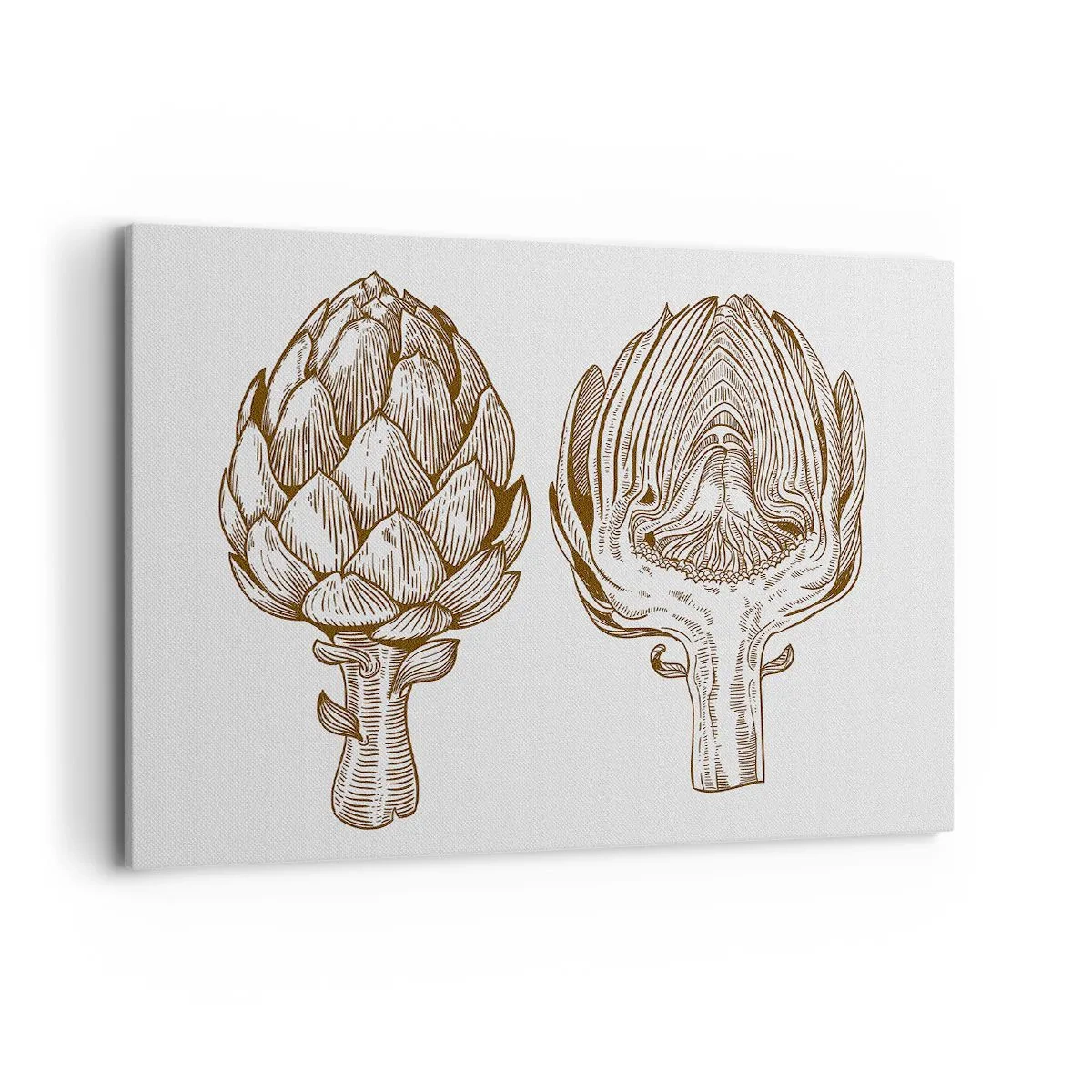 Bild auf Leinwand - Leinwandbild - Vintage Kunstzeichnung einer Artischocke - 100x70cm - Anatomie-Lektion - Moderne Wanddekoration für Wohnzimmer und Schlafzimmer ARTTOR