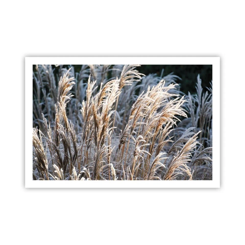 Poster - Gekleidet mit Frost - 91x61 cm