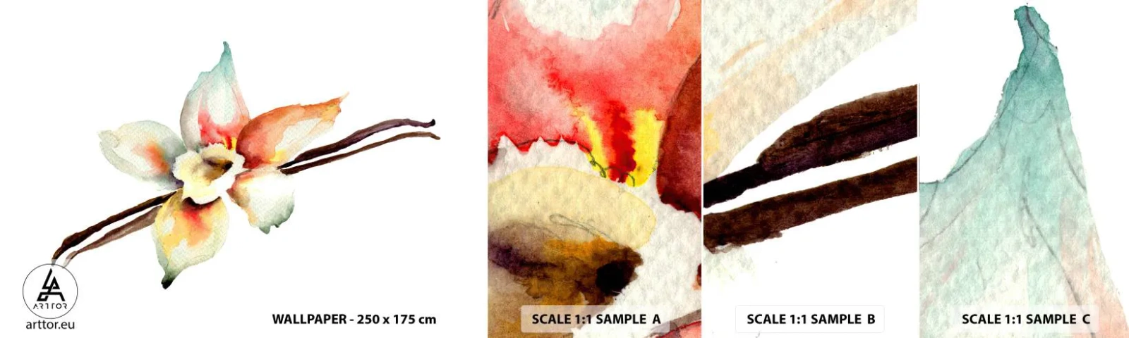 Fototapetenmuster Standard Eco - Süße mit Farbe verschüttet - Vanilleblüte, Blume, Vanillestange - 100x30 cm