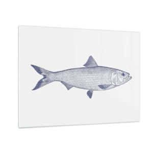 Glasbild - Bild auf glas - Fischskizze im Vintage-Stil auf hellem Hintergrund - 70x50cm - Grüße aus den nördlichen Meeren - Moderne Wanddekoration für Wohnzimmer und Schlafzimmer ARTTOR