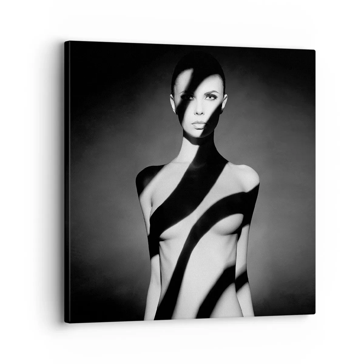 Bild auf Leinwand - Leinwandbild - In Glanz und Schatten - 30x30 cm