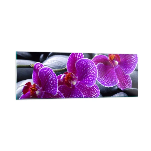 Glasbild - Bild auf glas - Die Steine glühten vor Freude - 90x30 cm