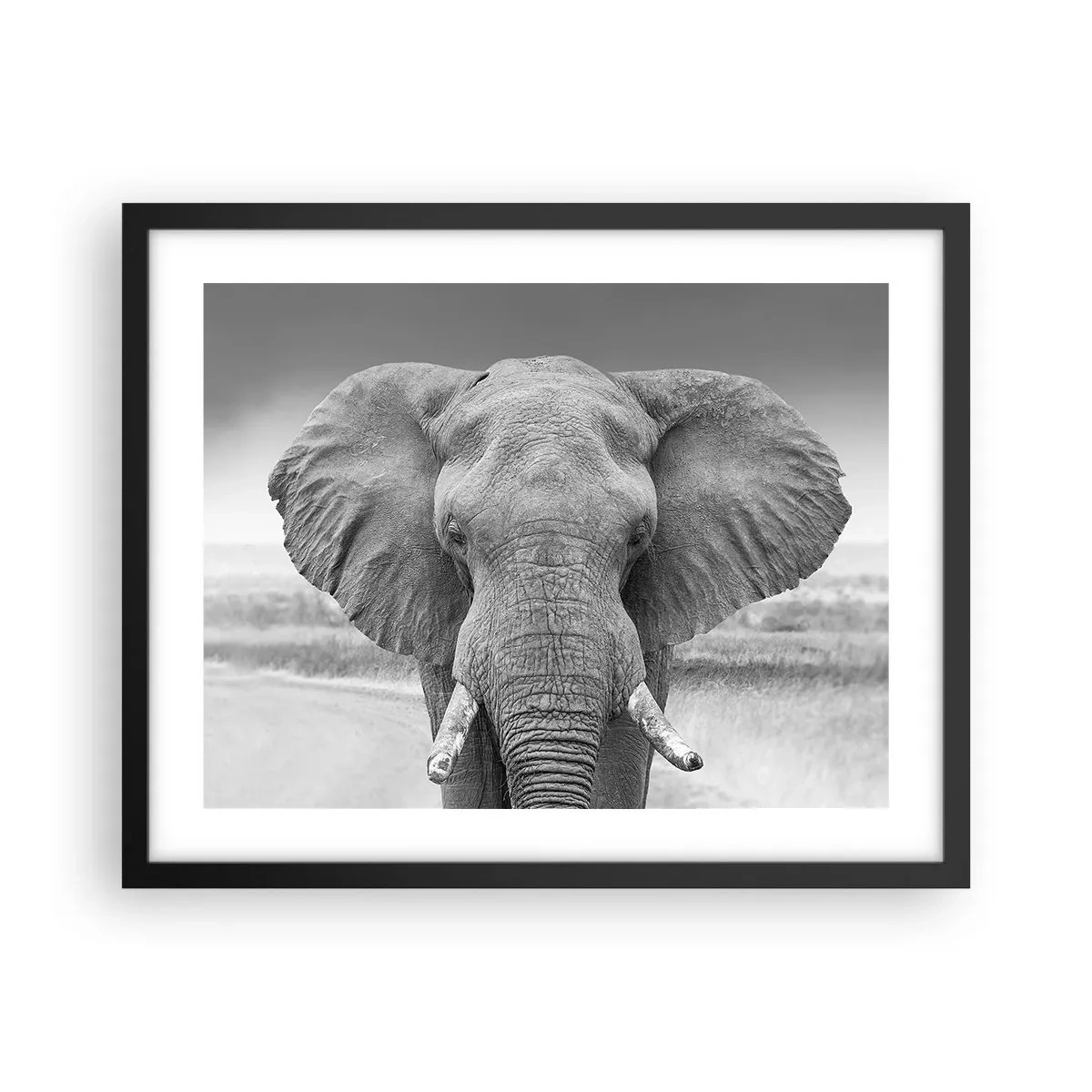 Poster in einem schwarzem Rahmen - Willkommen in meiner Welt - 50x40 cm