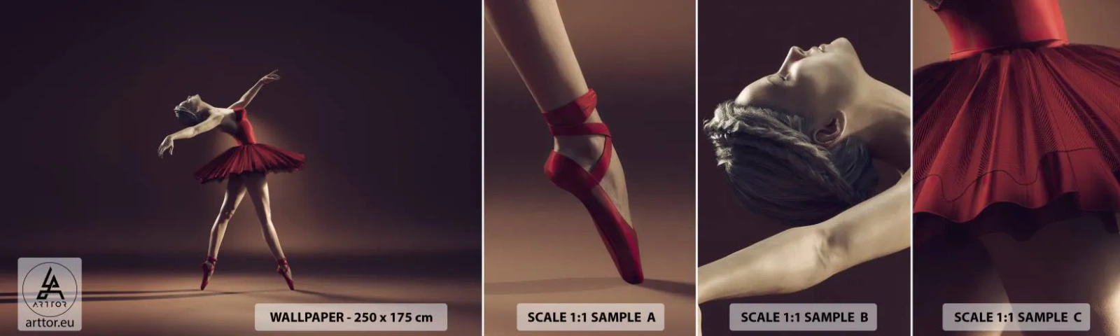 Fototapetenmuster Standard Eco - Eine Primaballerina - Ballerina, Tanzen, Ballett - 100x30 cm