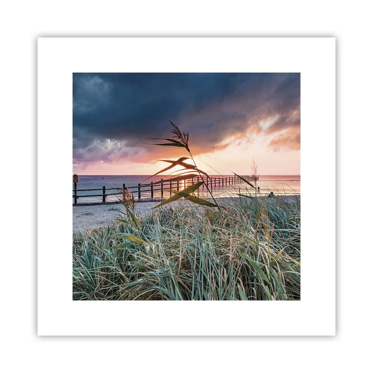 Poster - Es vergeht nicht mit dem Wind - 30x30 cm