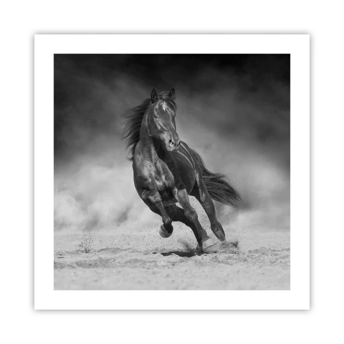 Poster - Würdig des Emirs selbst - 50x50 cm