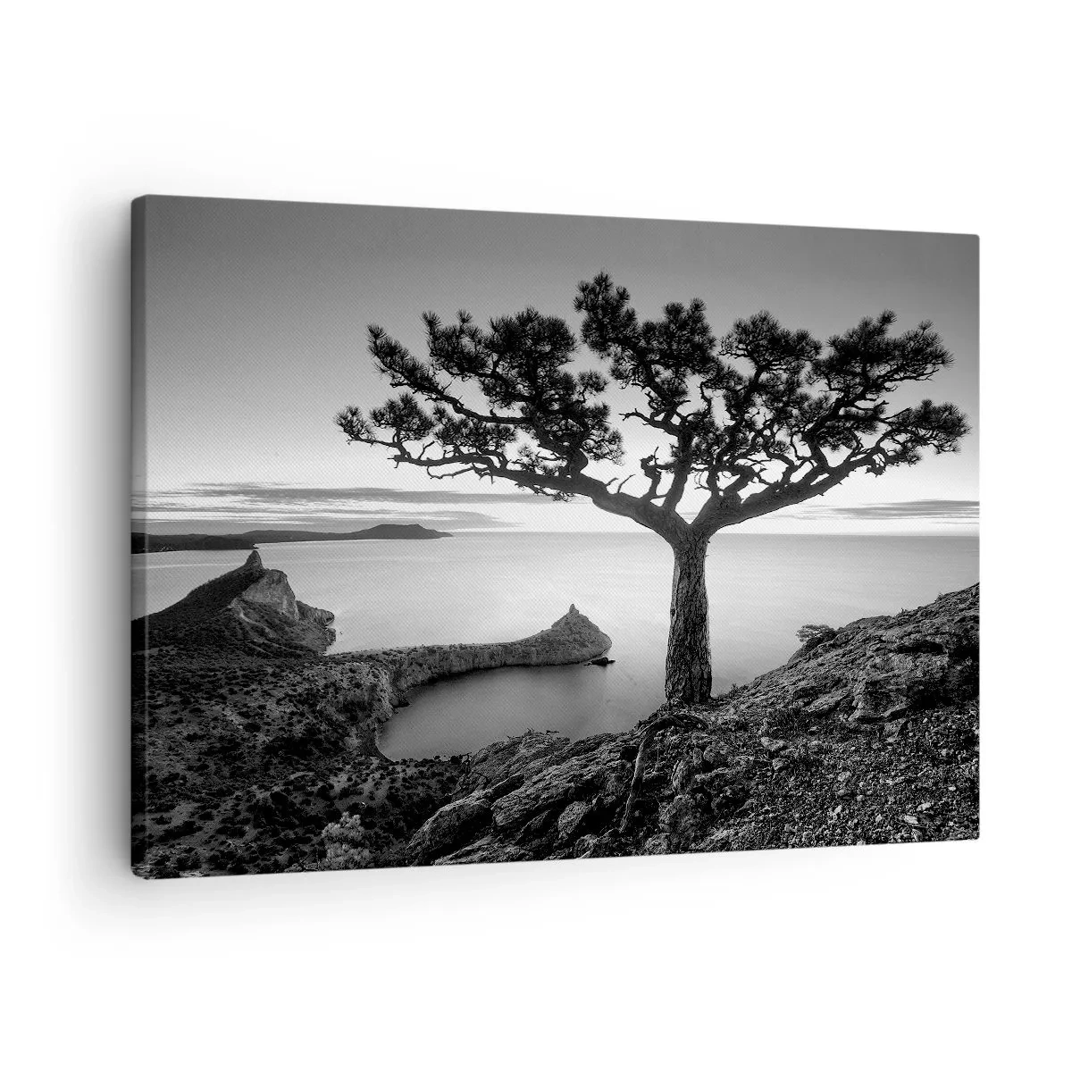 Bild auf Leinwand - Leinwandbild - Schwarz-weiße Landschaft mit einem einsamen Baum auf einer Klippe über dem Meer - 70x50cm - Stille bis zum Horizont - Moderne Wanddekoration für Wohnzimmer und Schlafzimmer ARTTOR