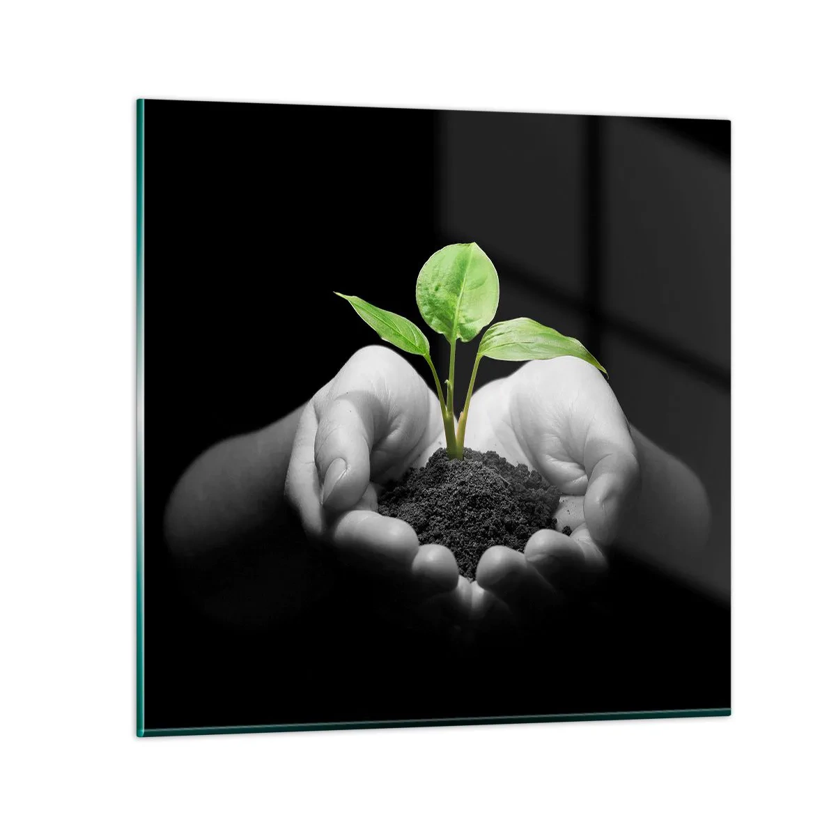 Glasbild - Bild auf glas - Ich liebe die Natur, ich beschütze sie - 70x70 cm