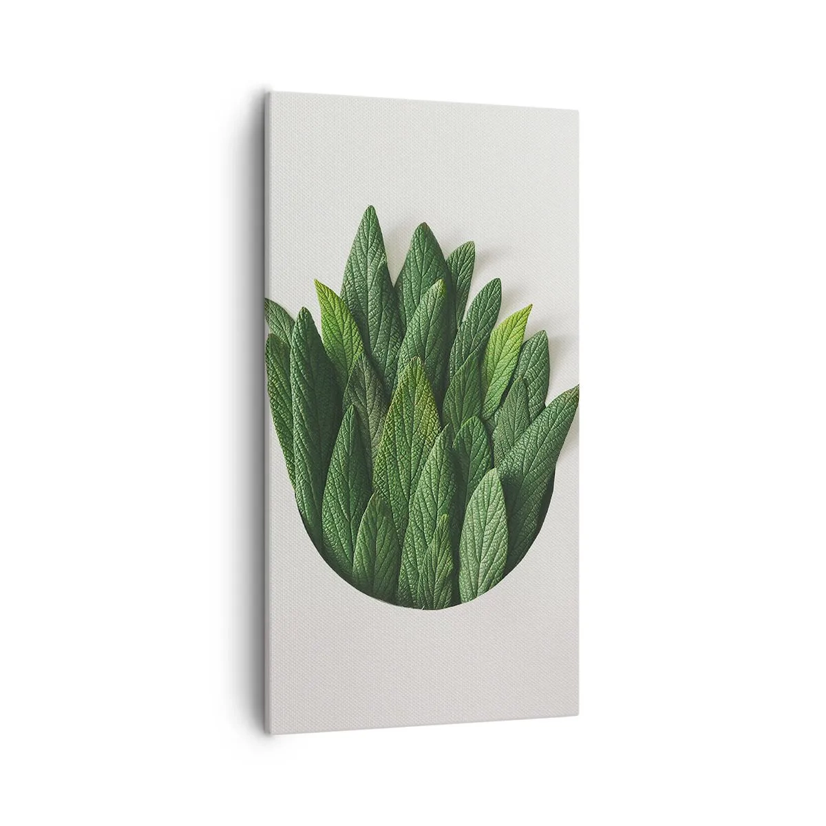 Bild auf Leinwand - Leinwandbild - Ungebremste Neugier - 55x100 cm