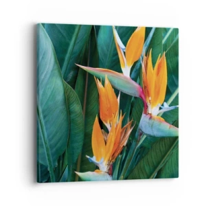 Bild auf Leinwand - Leinwandbild - Ist es eine Blume oder ist es ein Vogel? - 40x40 cm