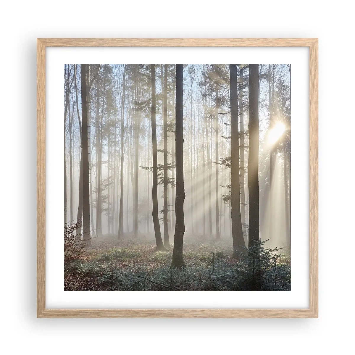 Poster in einem Rahmen aus heller Eiche - Der Nebel ist auch aufgewacht - 50x50 cm