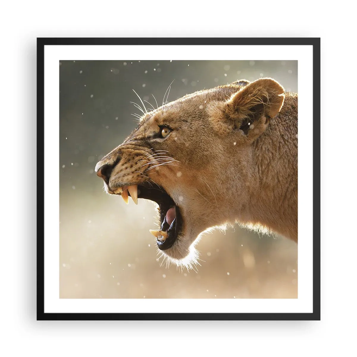 Poster in einem schwarzem Rahmen - Versuch, nicht zuzuhören - 60x60 cm