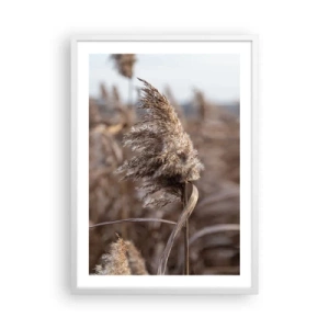 Poster in einem weißen Rahmen - Zeit, mit dem Wind zu gehen - 50x70 cm