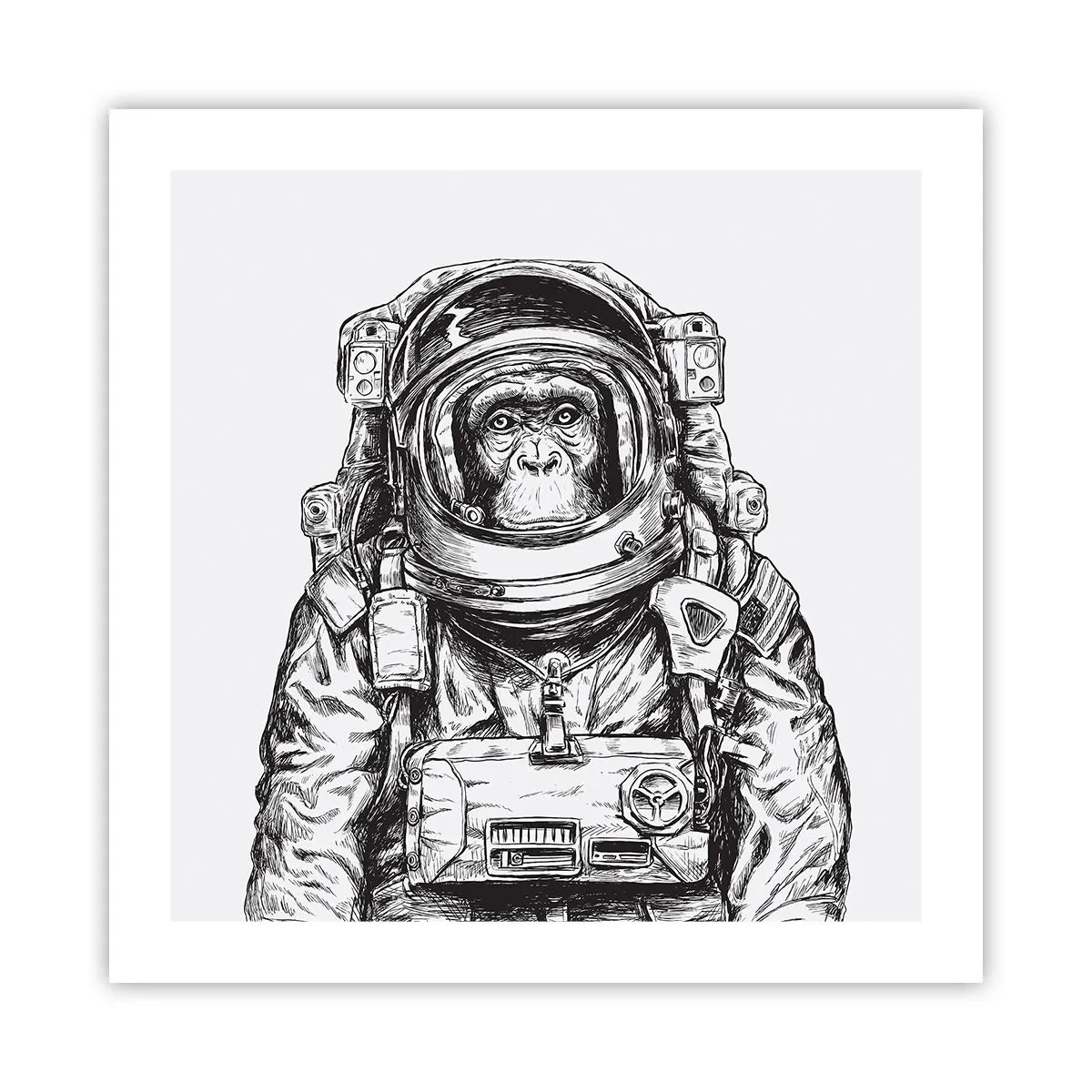 Poster - Alternative Evolution - 50x50 cm