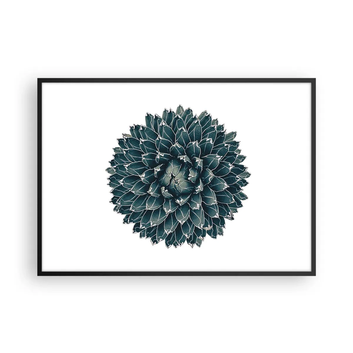 Poster in einem schwarzem Rahmen - Symmetrische Sukkulente auf weißem Hintergrund - 100x70cm - Stern der Wüste - Moderne Wanddekoration für Wohnzimmer und Schlafzimmer ARTTOR