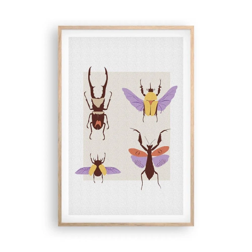 Poster in einem Rahmen aus heller Eiche - Insektenwelt - 61x91 cm