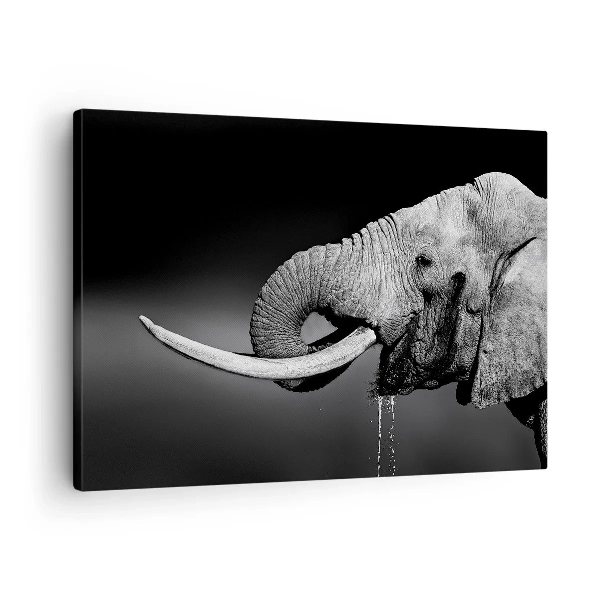 Bild auf Leinwand - Leinwandbild - Schwarz-Weiß-Porträt eines Elefanten im Profil - 70x50cm - Ja, gut jetzt - Moderne Wanddekoration für Wohnzimmer und Schlafzimmer ARTTOR