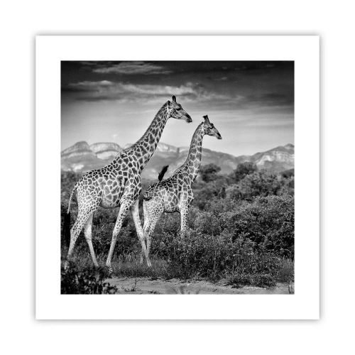 Poster - Hohe Sphären in Afrika - 40x40 cm