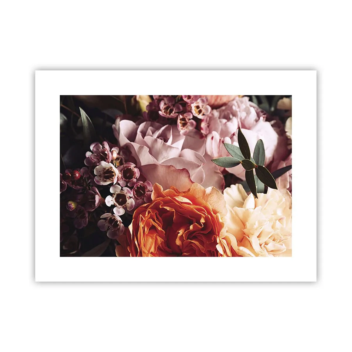 Poster - Eingehüllt in Schönheit - 40x30 cm