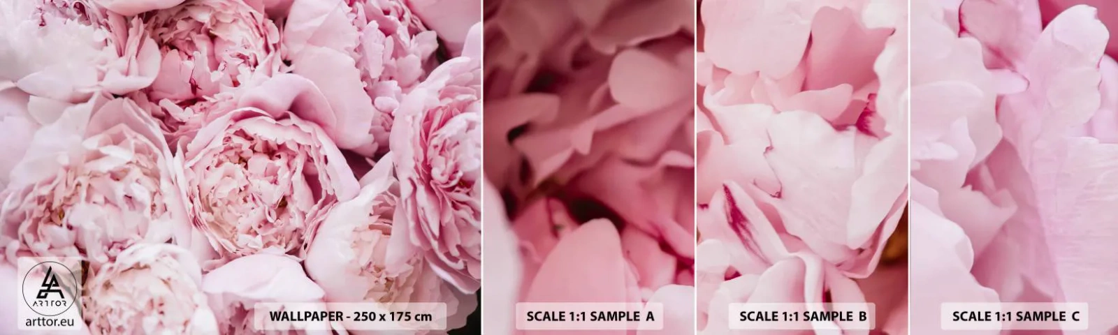 Fototapetenmuster Standard Eco - Anschmiegsam und duftend - Pfingstrose, Blumen, Blumenstrauß - 100x30 cm