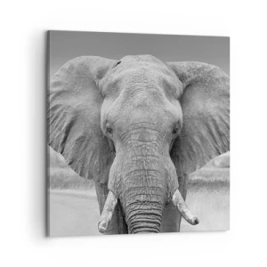 Bild auf Leinwand - Leinwandbild - Willkommen in meiner Welt - 60x60 cm