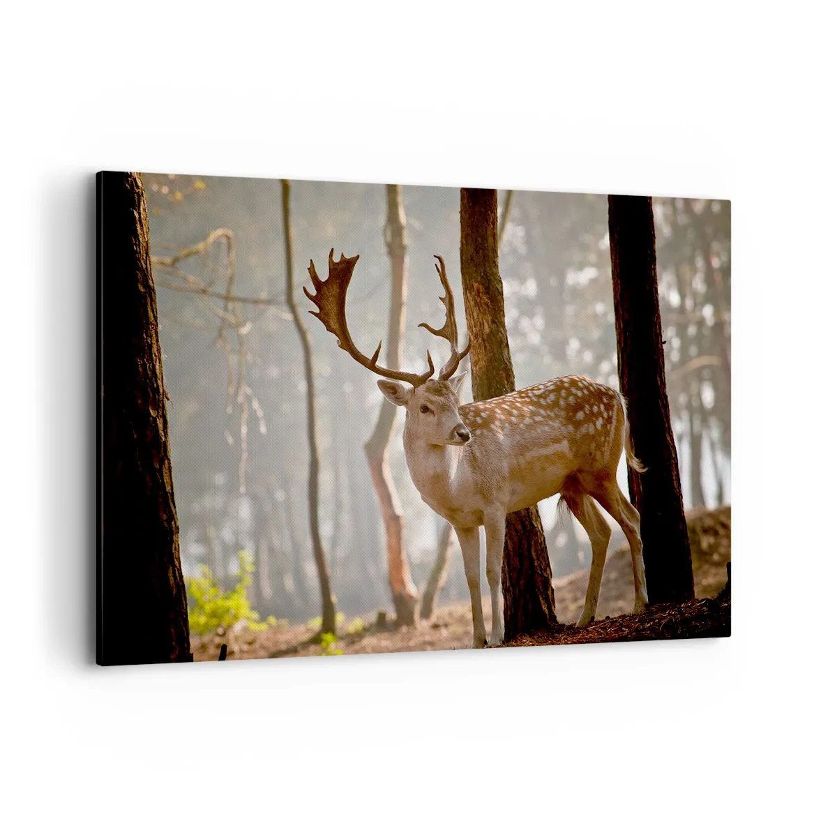 Bild auf Leinwand - Leinwandbild - Hirsche im Wald im Morgennebel - 120x80cm - Das Licht der Jugend - Moderne Wanddekoration für Wohnzimmer und Schlafzimmer ARTTOR