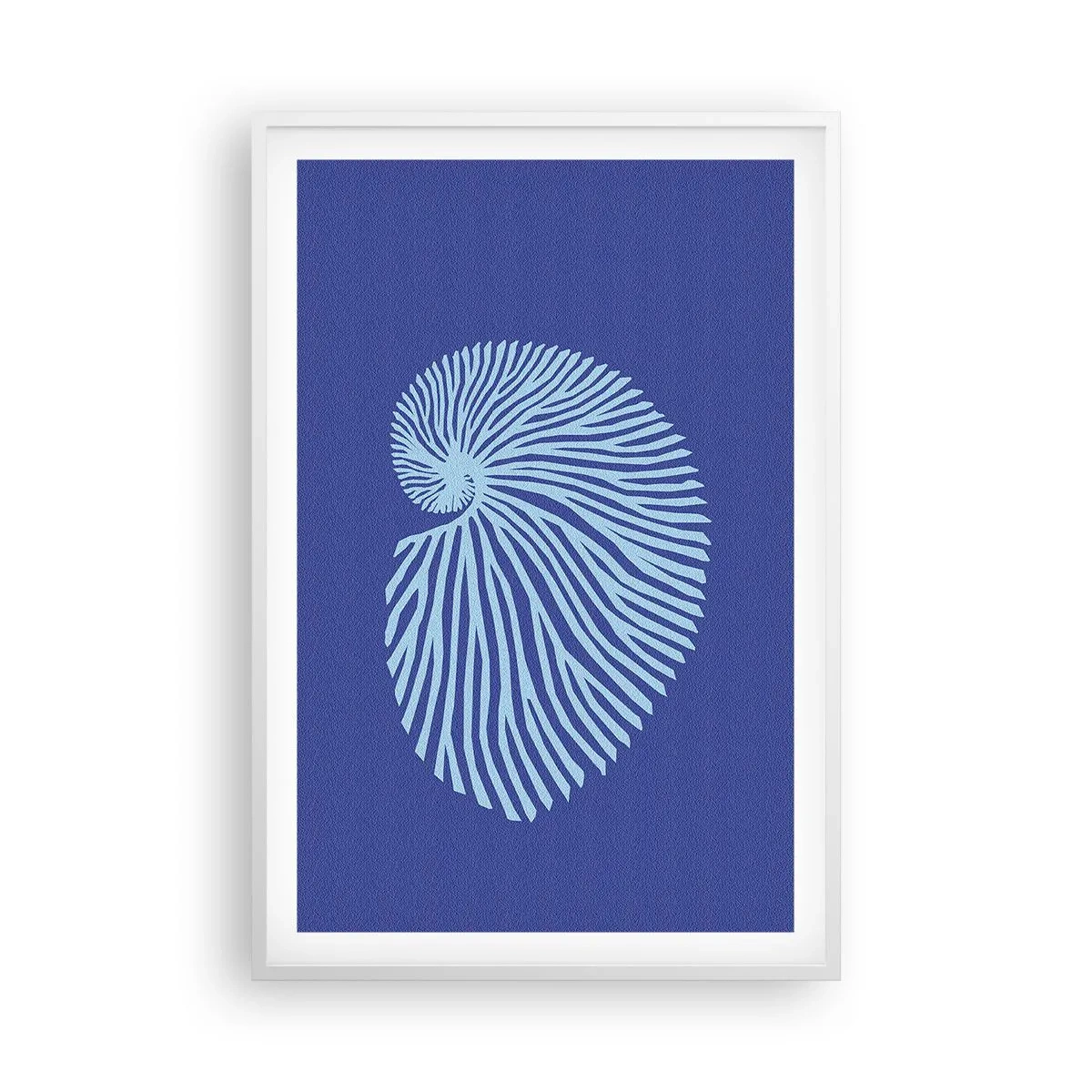 Poster in einem weißen Rahmen - Geburt der Muschel - 61x91 cm