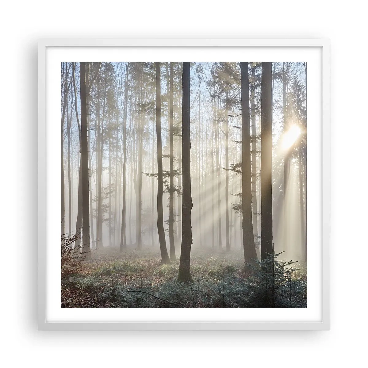 Poster in einem weißen Rahmen - Der Nebel ist auch aufgewacht - 60x60 cm
