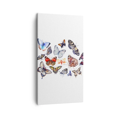 Bild auf Leinwand - Leinwandbild - Spitzen, bunter Schwarm - 45x80 cm