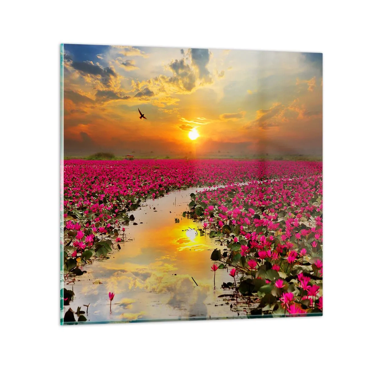 Glasbild - Bild auf glas - Das geheime Leben des Sees - 30x30 cm