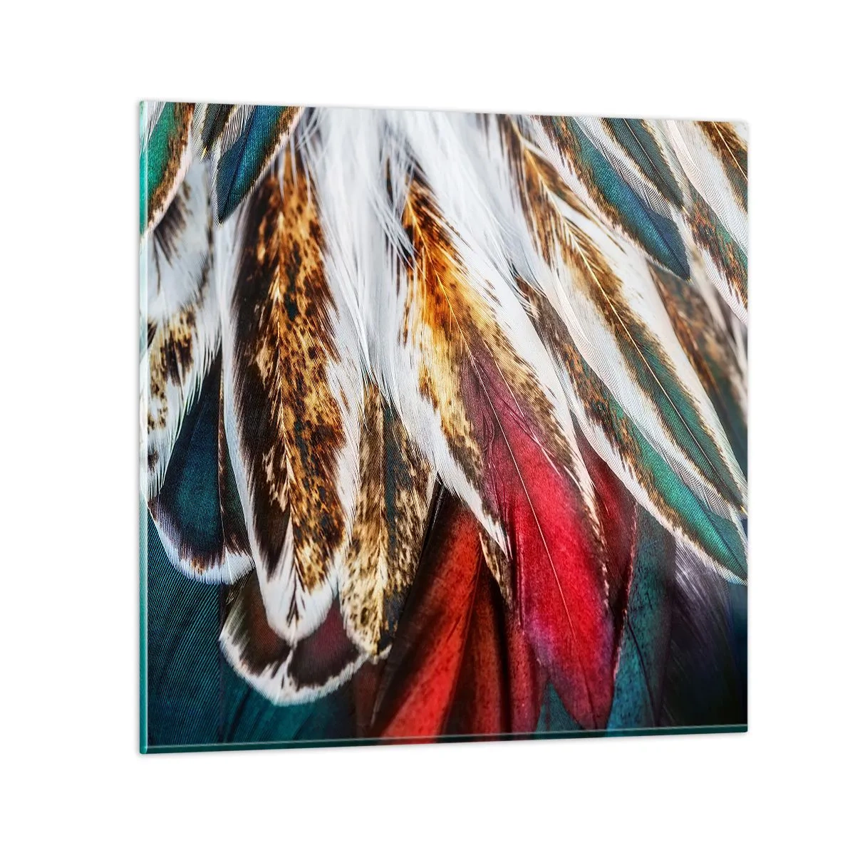 Glasbild - Bild auf glas - Geheimnisse des Fliegens - 70x70 cm