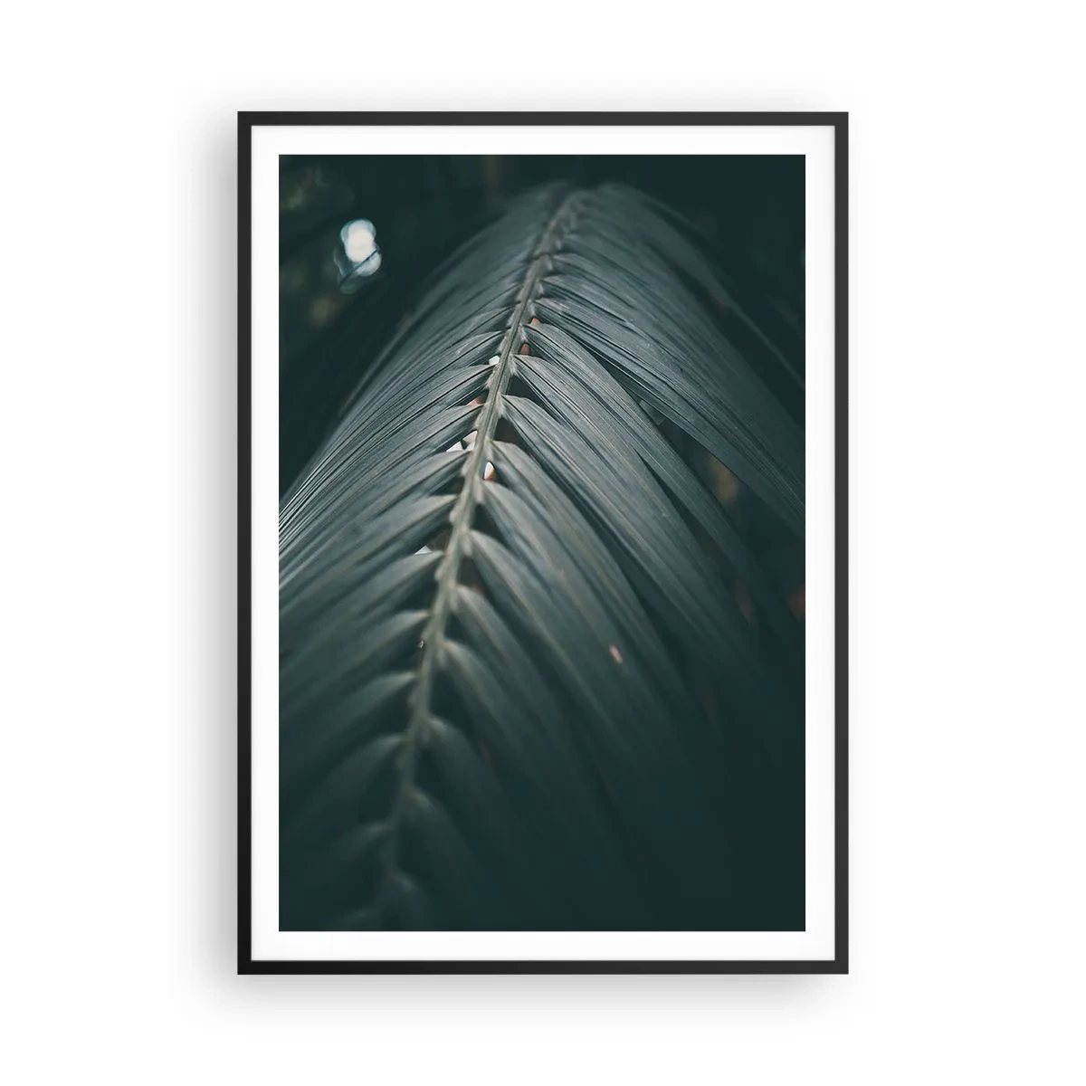 Poster in einem schwarzem Rahmen - Die Präzision der Natur - 70x100 cm