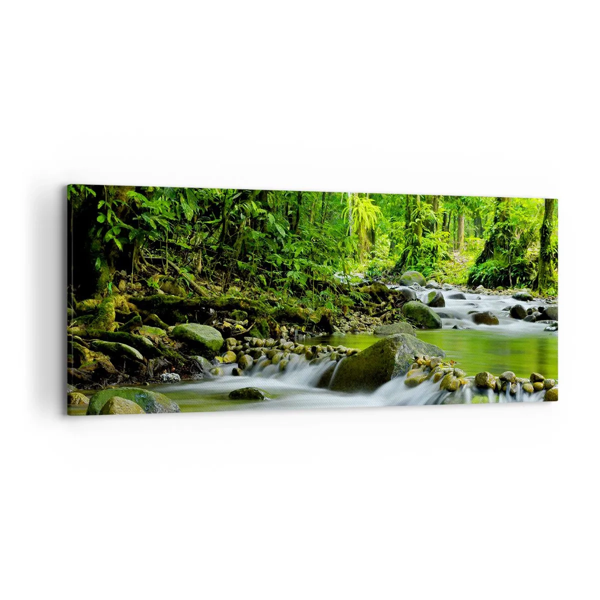 Bild auf Leinwand - Leinwandbild - Ein Bach in einem üppigen tropischen Wald - 120x50cm - Schwimmen Sie in einem Meer aus Grün - Moderne Wanddekoration für Wohnzimmer und Schlafzimmer ARTTOR