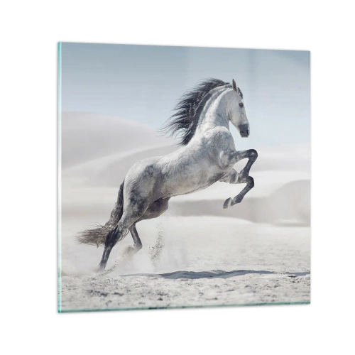 Glasbild - Bild auf glas - Arabischer Prinz - 30x30 cm