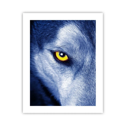 Poster - Faszinierender Blick - 40x50 cm