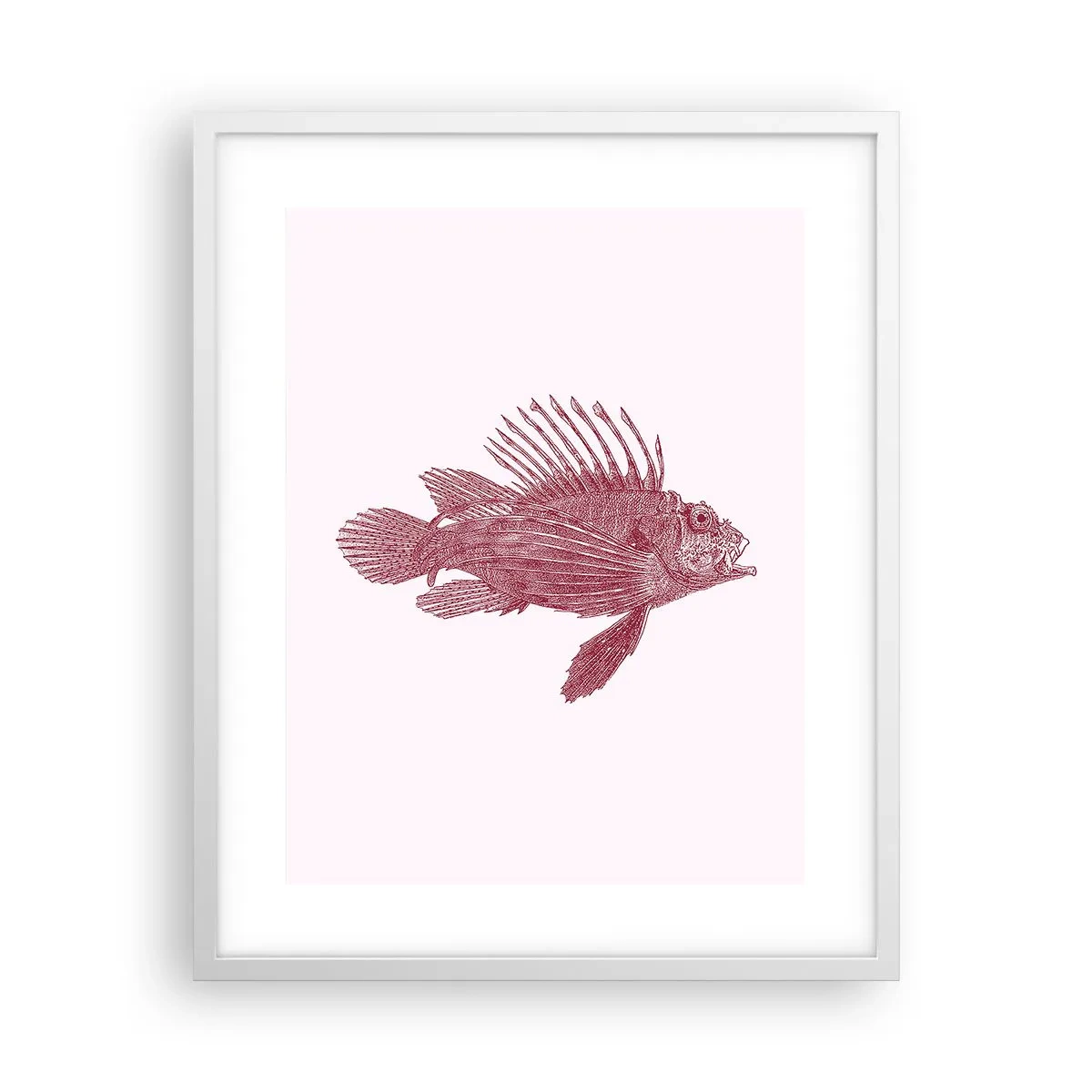 Poster in einem weißen Rahmen - Bewohner exotischer Gewässer - 40x50 cm