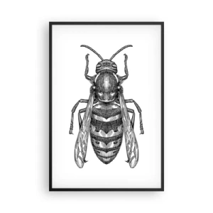 Poster in einem schwarzem Rahmen - Von einem Insektenplaneten - 61x91 cm
